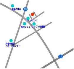 丸亀田村