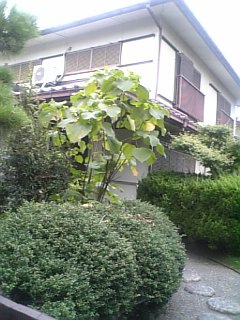 納邸